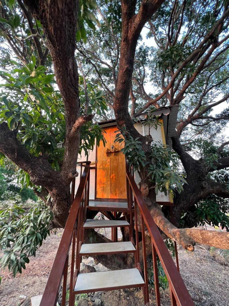 Mars Jungle Adventure Stud Farm With Private Jacuzzi Villa Narsinge Room photo