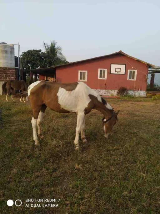 Mars Jungle Adventure Stud Farm With Private Jacuzzi Villa Narsinge Exterior photo